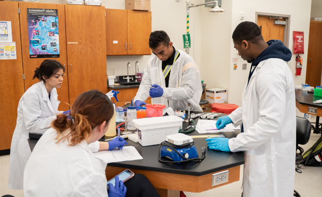 STEM students in the lab